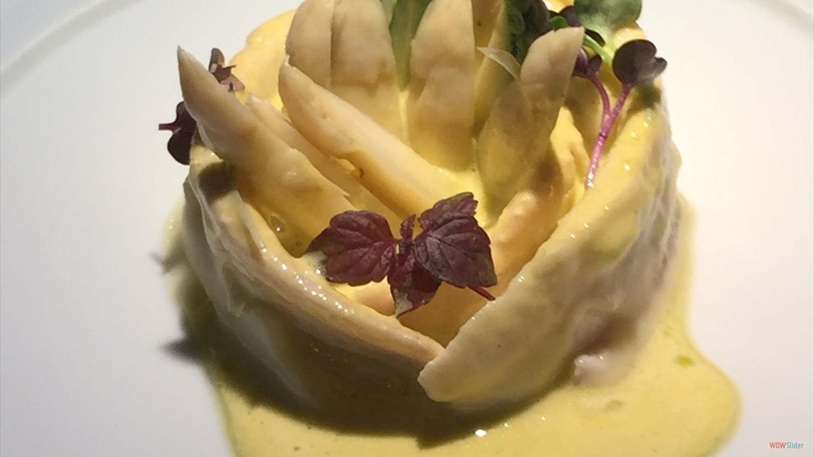 DoverSole